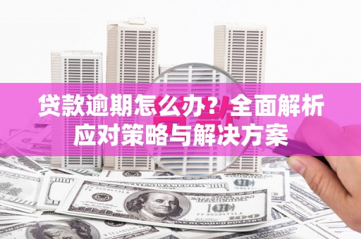 巴青贷款逾期怎么办？全面解析应对策略与解决方案