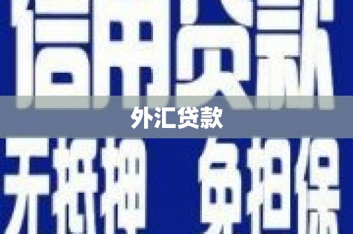 巴青外汇贷款