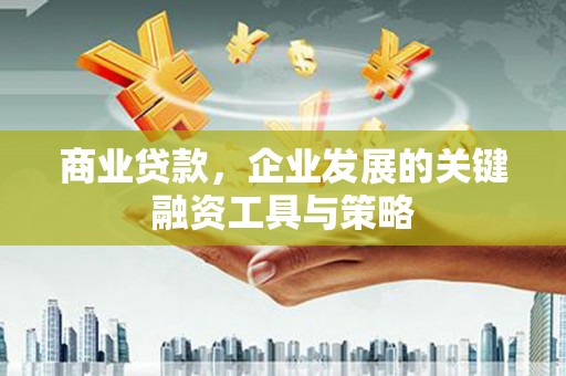巴青商业贷款，企业发展的关键融资工具与策略