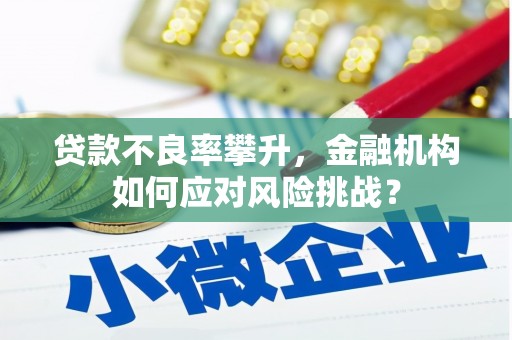 巴青贷款不良率攀升，金融机构如何应对风险挑战？