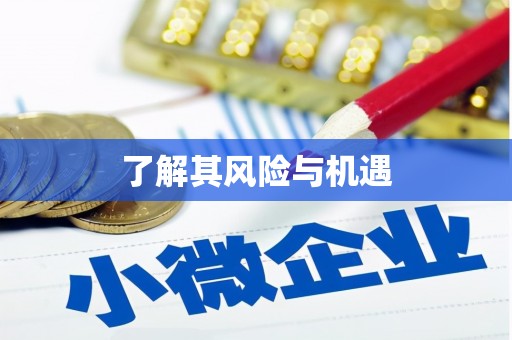 巴青了解其风险与机遇