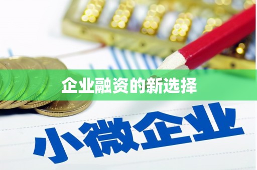 巴青企业融资的新选择