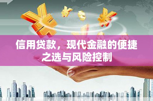 巴青信用贷款，现代金融的便捷之选与风险控制