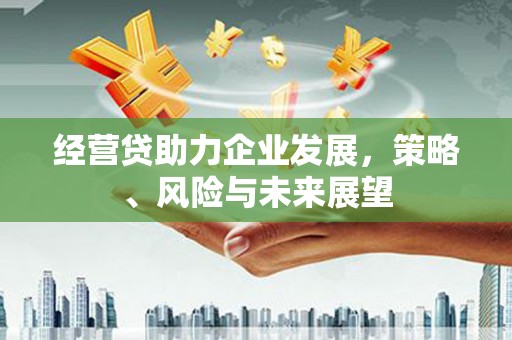 巴青经营贷助力企业发展，策略、风险与未来展望