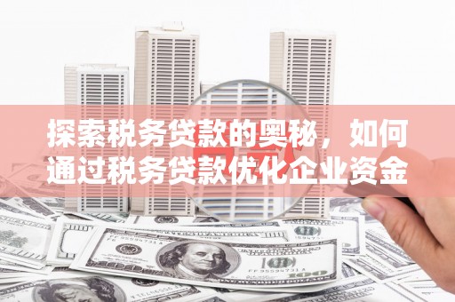 巴青探索税务贷款的奥秘，如何通过税务贷款优化企业资金流