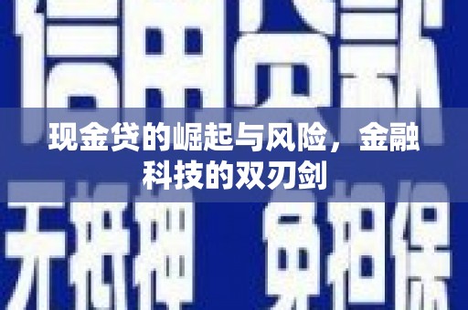 巴青现金贷的崛起与风险，金融科技的双刃剑