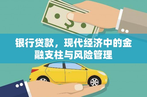 巴青银行贷款，现代经济中的金融支柱与风险管理