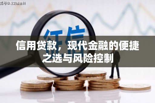 巴青信用贷款，现代金融的便捷之选与风险控制