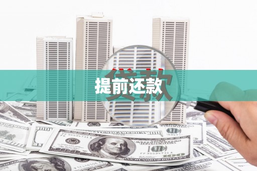 巴青提前还款