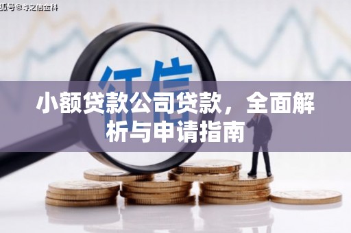 巴青小额贷款公司贷款，全面解析与申请指南