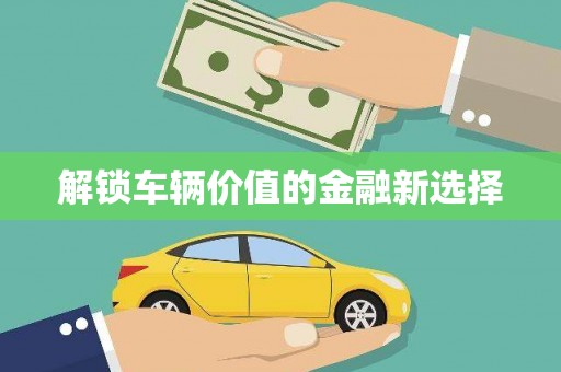 巴青解锁车辆价值的金融新选择