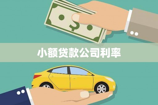 巴青小额贷款公司利率