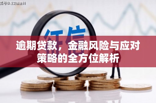 巴青逾期贷款，金融风险与应对策略的全方位解析