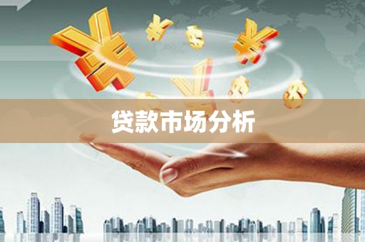 巴青贷款市场分析