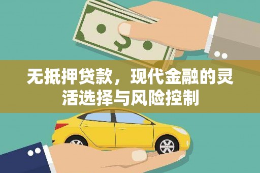 巴青无抵押贷款，现代金融的灵活选择与风险控制