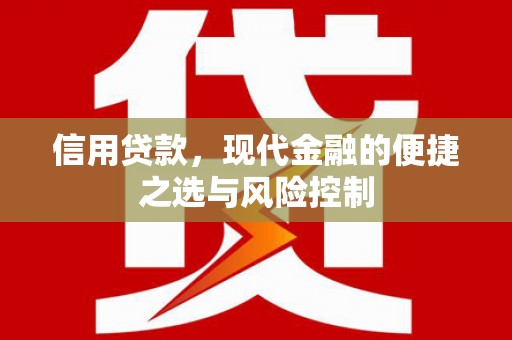 巴青信用贷款，现代金融的便捷之选与风险控制