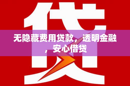 巴青无隐藏费用贷款，透明金融，安心借贷