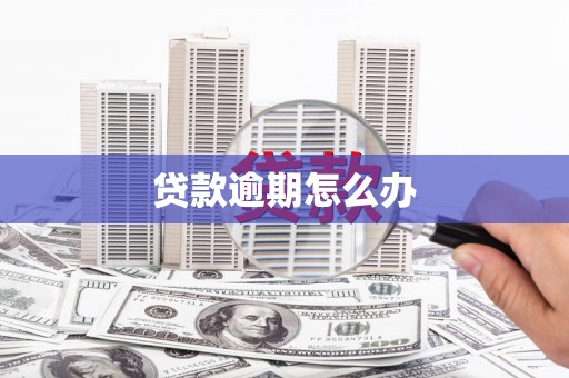 巴青贷款逾期怎么办