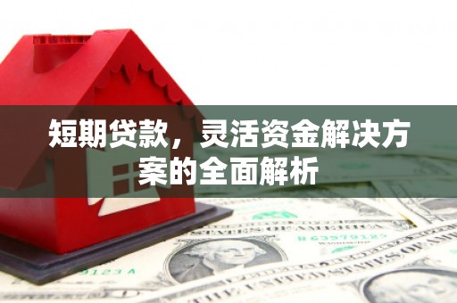 巴青短期贷款，灵活资金解决方案的全面解析