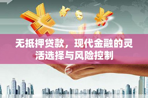 巴青无抵押贷款，现代金融的灵活选择与风险控制