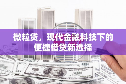巴青微粒贷，现代金融科技下的便捷借贷新选择