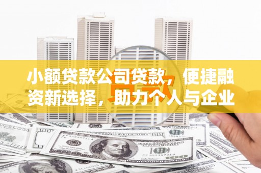 巴青小额贷款公司贷款，便捷融资新选择，助力个人与企业成长