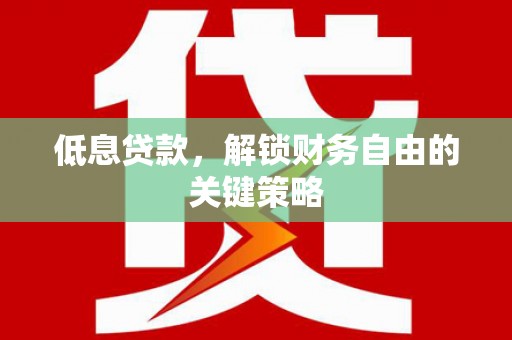 巴青低息贷款，解锁财务自由的关键策略