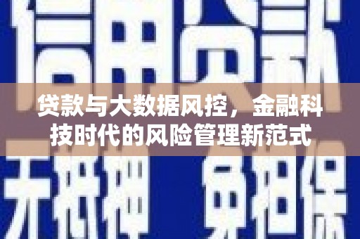 巴青贷款与大数据风控，金融科技时代的风险管理新范式