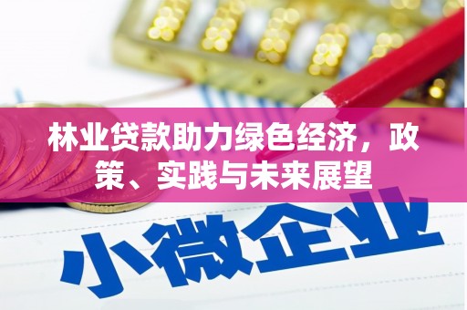 巴青林业贷款助力绿色经济，政策、实践与未来展望