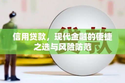 巴青信用贷款，现代金融的便捷之选与风险防范