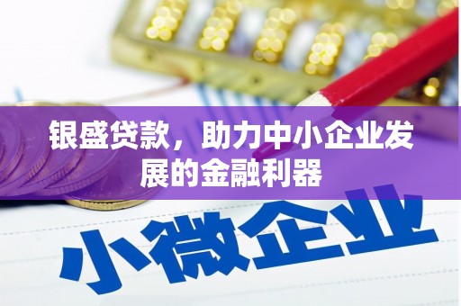 巴青银盛贷款，助力中小企业发展的金融利器