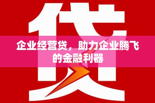 巴青企业经营贷，助力企业腾飞的金融利器