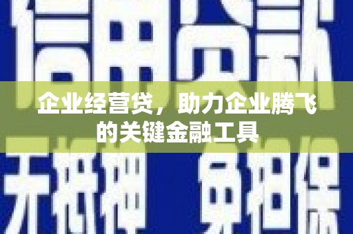 巴青企业经营贷，助力企业腾飞的关键金融工具
