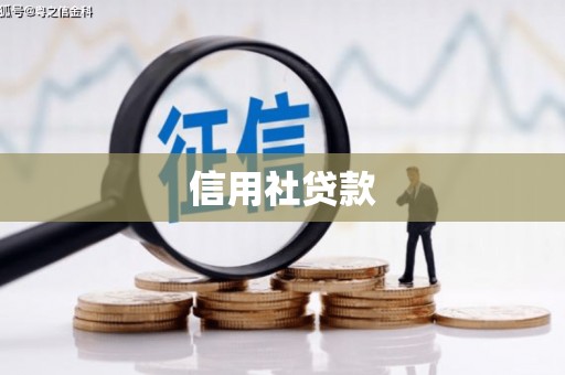 巴青信用社贷款