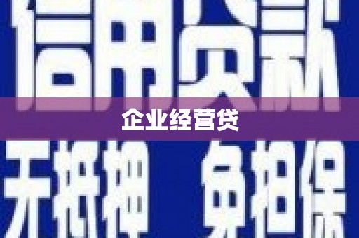 巴青企业经营贷