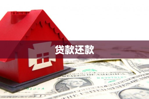 巴青贷款还款