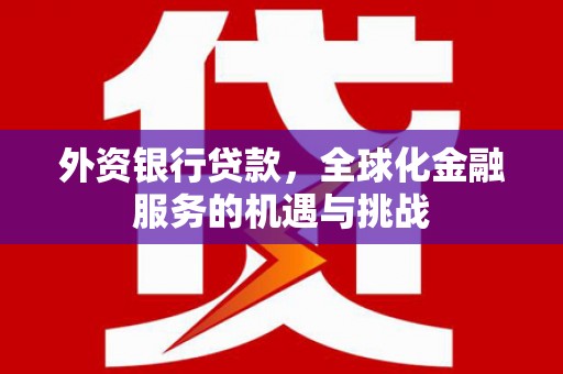 巴青外资银行贷款，全球化金融服务的机遇与挑战