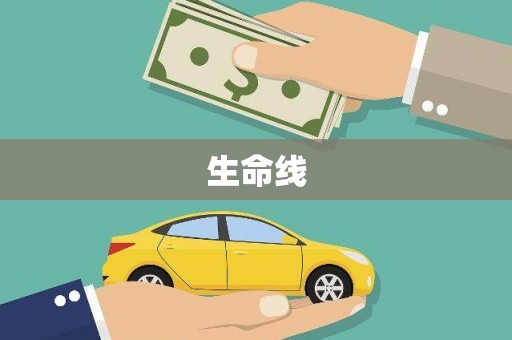 巴青生命线