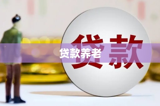 巴青贷款养老