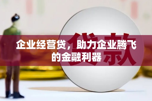 巴青企业经营贷，助力企业腾飞的金融利器