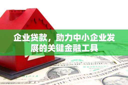 巴青企业贷款，助力中小企业发展的关键金融工具
