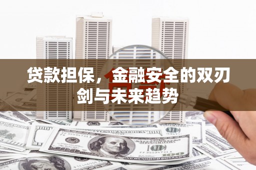 巴青贷款担保，金融安全的双刃剑与未来趋势