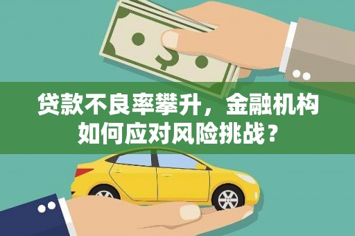 巴青贷款不良率攀升，金融机构如何应对风险挑战？