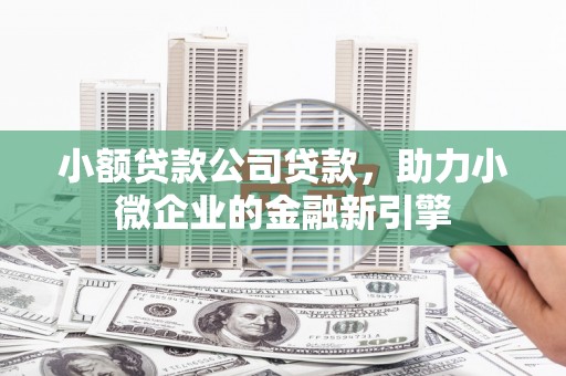 巴青小额贷款公司贷款，助力小微企业的金融新引擎