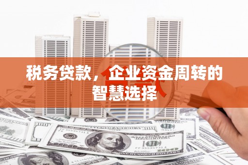 巴青税务贷款，企业资金周转的智慧选择