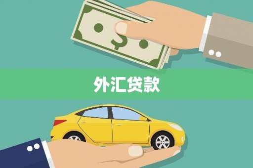 巴青外汇贷款