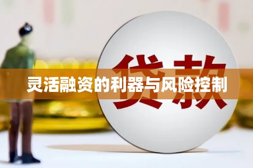巴青灵活融资的利器与风险控制