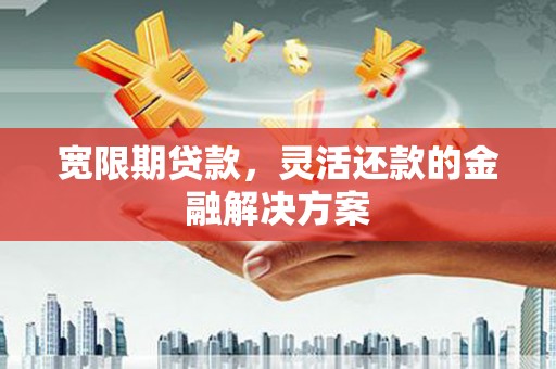 巴青宽限期贷款，灵活还款的金融解决方案