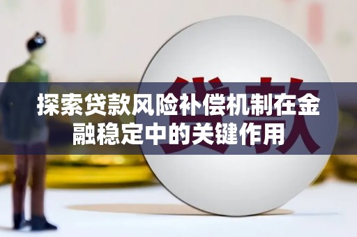 巴青探索贷款风险补偿机制在金融稳定中的关键作用