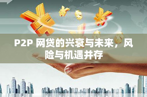 巴青P2P 网贷的兴衰与未来，风险与机遇并存